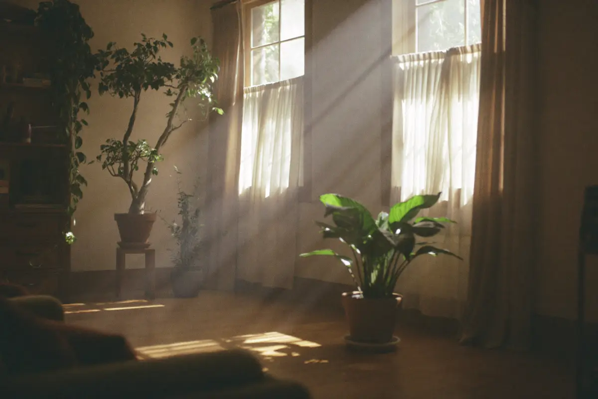 Bright, airy living space with plants and sunlight through sheer curtains